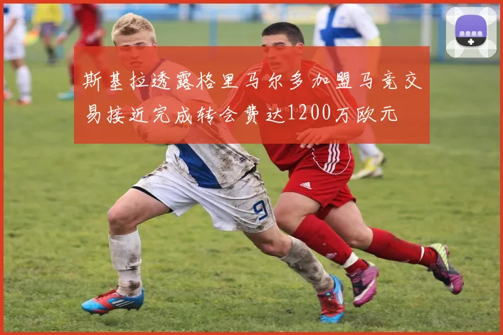 斯基拉透露格里马尔多加盟马竞交易接近完成转会费达1200万欧元